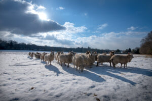 East Grinstead, West sussex