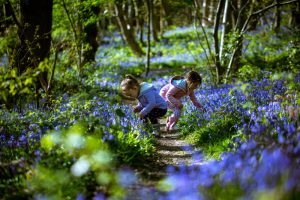 family photography east grinstead scott mathieson